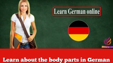 Learn about the body parts in German